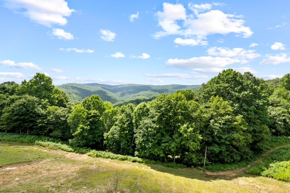 A breathtaking view of lush green trees and a majestic mountain range under a wide blue sky invites exploration. The scene evokes outdoor adventures like hiking, picnicking, and wildlife watching, capturing the natural beauty that surrounds the lodge.